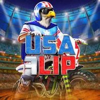 USA Flip game screenshot